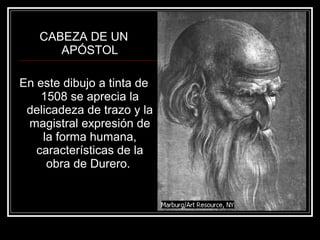 CABEZA DE UN 
APÓSTOL 
En este dibujo a tinta de 
1508 se aprecia la 
delicadeza de trazo y la 
magistral expresión de 
la forma humana, 
características de la 
obra de Durero. 
 