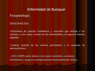 Enfermedad de Buerguer Fisiopatología DESCONOCIDA Oclusiones de carácter trombótico y vasculitis que afectan a las arterias y a las venas vecinas de las extremidades, en especial arterias digitales. Carácter normal de las arterias proximales y la ausencia de ateroesclerosis. - OCLUSIÓN suele afectar a los cuatro miembros, comienza distalmente y progresa centripetamente desencadenando clínica . 