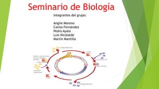 Seminario de Biología
Integrantes del grupo:
Angiie Moreno
Carlos Fernández
Pedro Ayala
Luis Nicolalde
Martín Mantilla
 