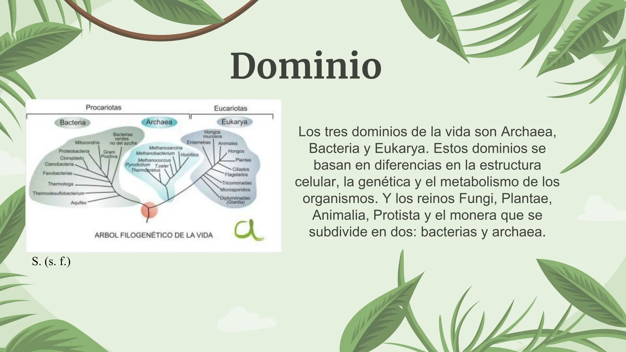 Seminario de Biología 3 Dominios y reinos Final.pptx