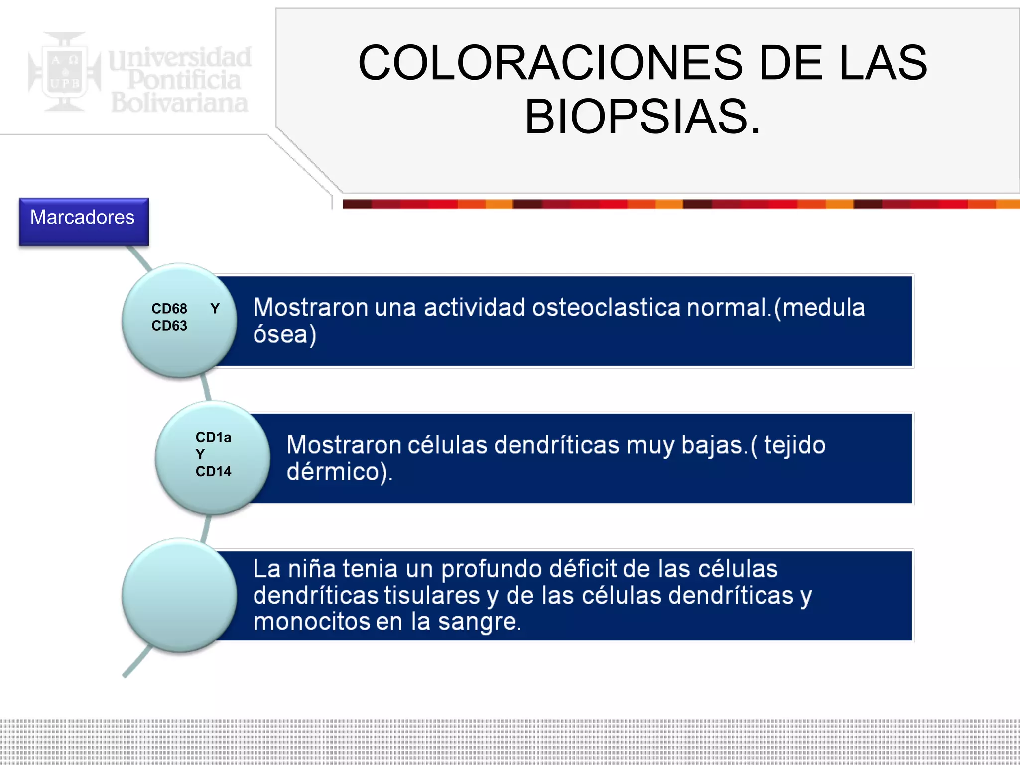 COLORACIONES DE LAS BIOPSIAS. CD68 Y CD63 CD1a Y CD14 Marcadores 