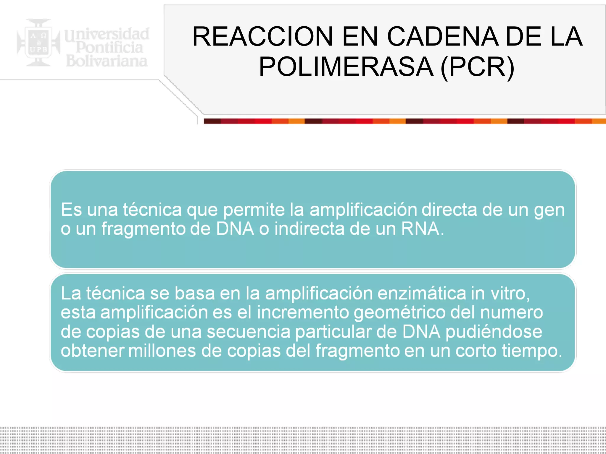 REACCION EN CADENA DE LA POLIMERASA (PCR) 