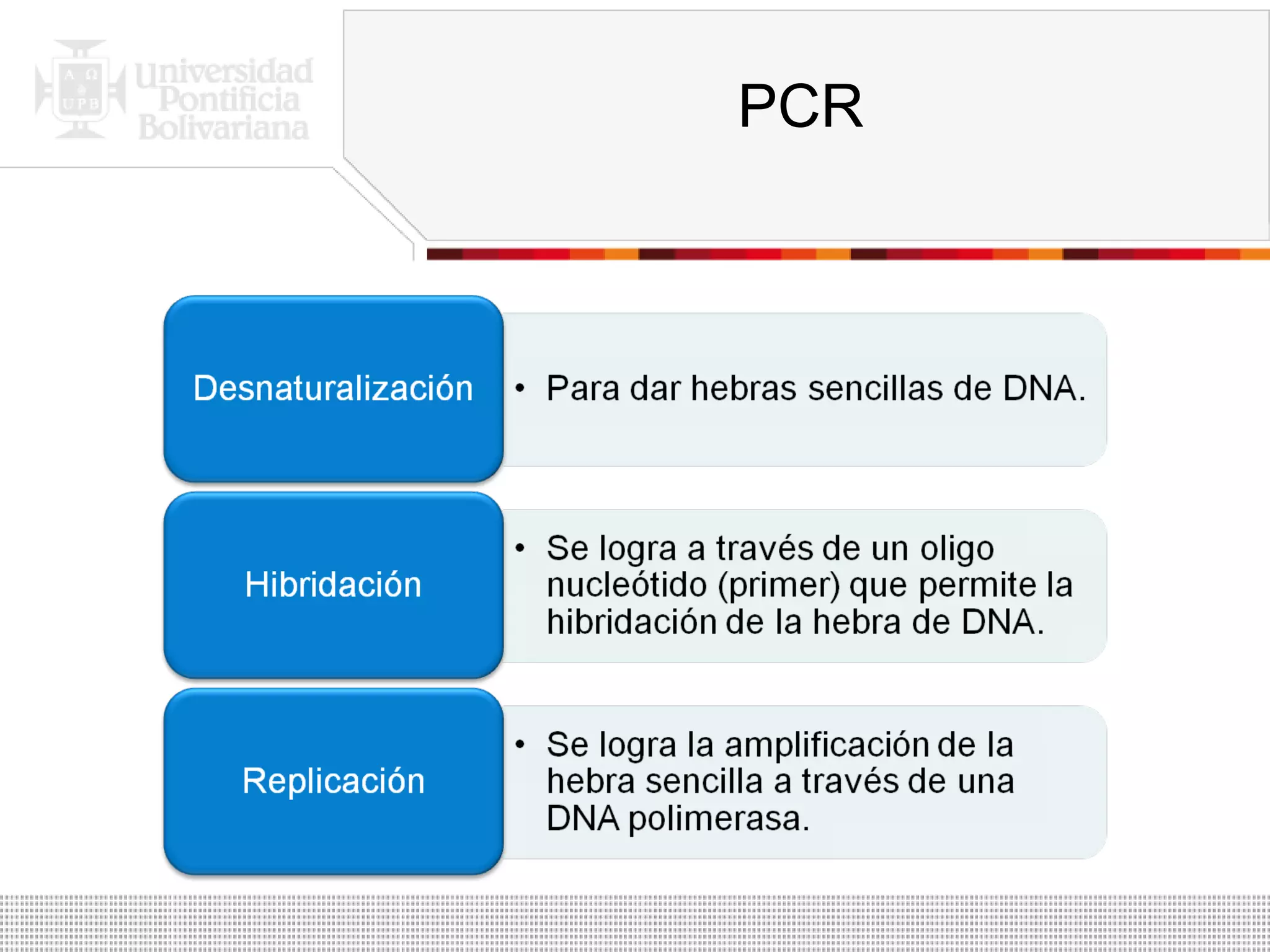 PCR 