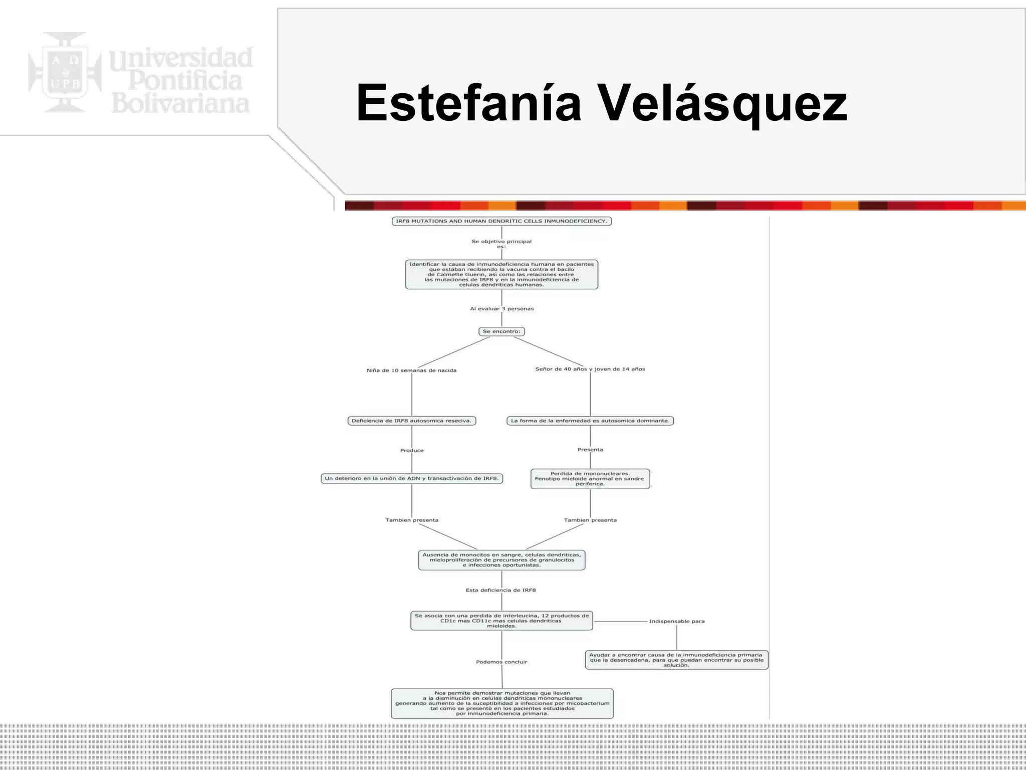 Estefanía Velásquez 