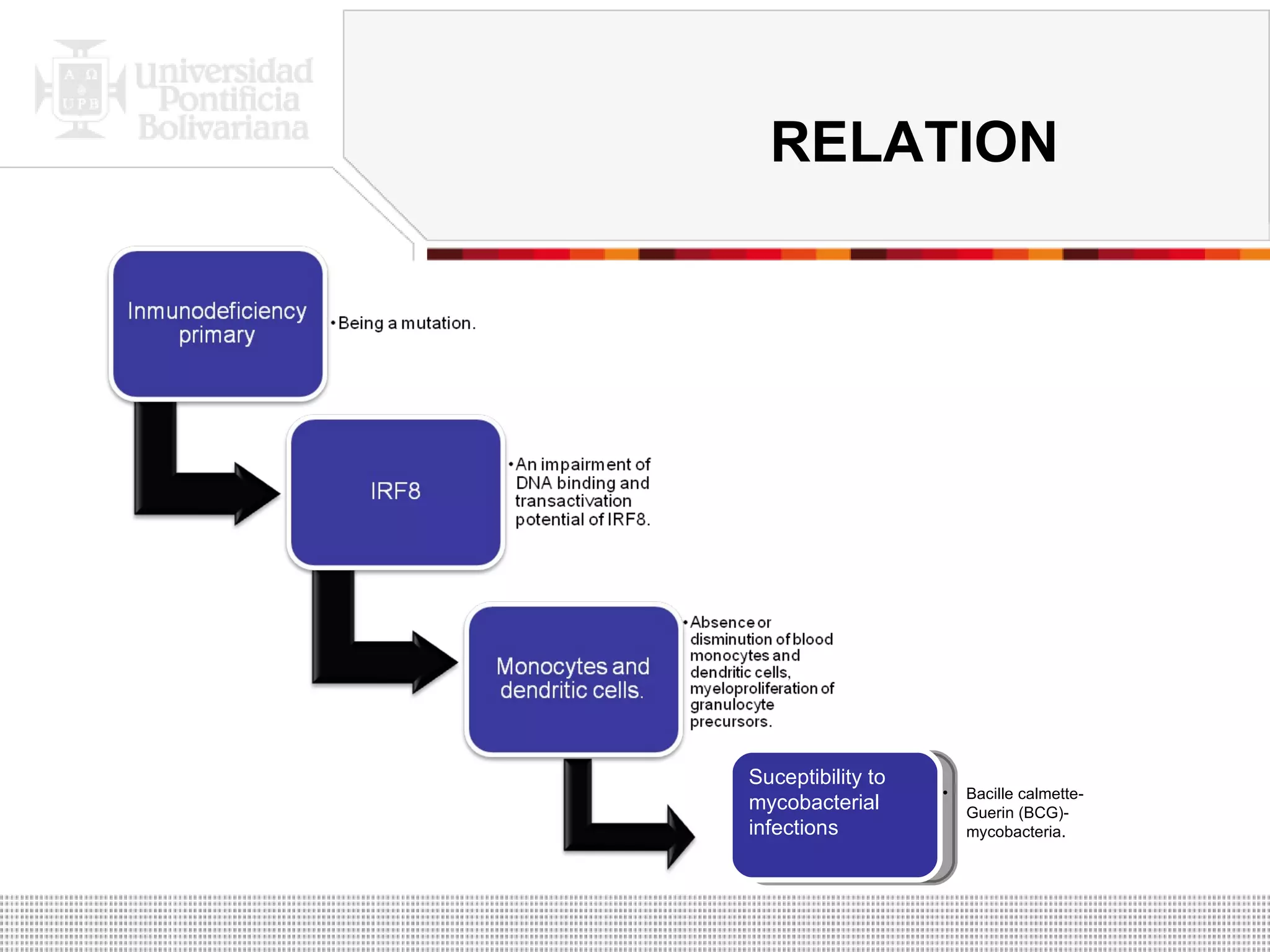 RELATION Suceptibility to mycobacterial infections  Bacille calmette- Guerin (BCG)- mycobacteria. 