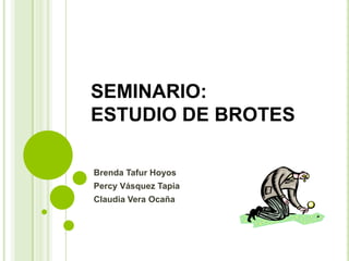 SEMINARIO:
ESTUDIO DE BROTES
Brenda Tafur Hoyos
Percy Vásquez Tapia
Claudia Vera Ocaña
 