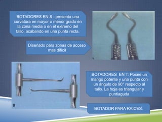 BOTADORES EN S : presenta una
curvatura en mayor o menor grado en
la zona media o en el extremo del
tallo, acabando en una punta recta.
Diseñado para zonas de acceso
mas difícil
BOTADORES EN T: Posee un
mango potente y una punta con
un ángulo de 90° respecto al
tallo. La hoja es triangular y
puntiaguda
BOTADOR PARA RAICES.
 