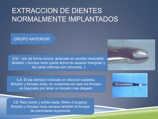 EXTRACCION DE DIENTES
NORMALMENTE IMPLANTADOS
GRUPO ANTERIOR:
ICS: raíz de forma cónica, aplanada en sentido mesiodital.
Botador y forceps recto (parte activa de aspecto triangular y
las caras internas son cóncavas )
ILS: El eje dentario inclinado en dirección palatina.
Botador y forceps recto, en ocasiones se usan los forceps
en bayoneta por tener un bocado mas delgado
CS: Raíz fuerte y solida hasta 18mm d longitud.
Botador y forceps recto aunque también el forceps
de premolares superiores
 