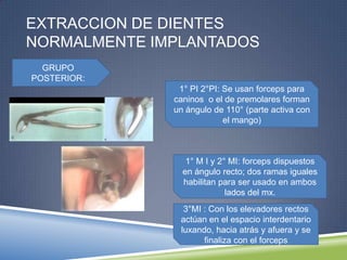 EXTRACCION DE DIENTES
NORMALMENTE IMPLANTADOS
GRUPO
POSTERIOR:
1° PI 2°PI: Se usan forceps para
caninos o el de premolares forman
un ángulo de 110° (parte activa con
el mango)
1° M I y 2° MI: forceps dispuestos
en ángulo recto; dos ramas iguales
habilitan para ser usado en ambos
lados del mx.
3°MI : Con los elevadores rectos
actúan en el espacio interdentario
luxando, hacia atrás y afuera y se
finaliza con el forceps
 