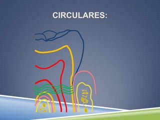 CIRCULARES:
 
