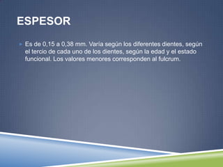 ESPESOR
 Es de 0,15 a 0,38 mm. Varía según los diferentes dientes, según
el tercio de cada uno de los dientes, según la edad y el estado
funcional. Los valores menores corresponden al fulcrum.
 