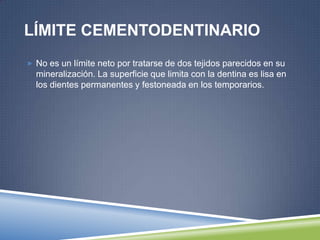 LÍMITE CEMENTODENTINARIO
 No es un límite neto por tratarse de dos tejidos parecidos en su
mineralización. La superficie que limita con la dentina es lisa en
los dientes permanentes y festoneada en los temporarios.
 