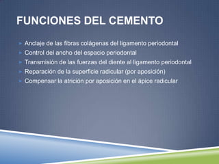 FUNCIONES DEL CEMENTO
 Anclaje de las fibras colágenas del ligamento periodontal
 Control del ancho del espacio periodontal
 Transmisión de las fuerzas del diente al ligamento periodontal
 Reparación de la superficie radicular (por aposición)
 Compensar la atrición por aposición en el ápice radicular
 