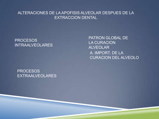 ALTERACIONES DE LA APOFISIS ALVEOLAR DESPUES DE LA
EXTRACCION DENTAL
PROCESOS
INTRAALVEOLARES
PROCESOS
EXTRAALVEOLARES
PATRON GLOBAL DE
LA CURACION
ALVEOLAR
A. IMPORT. DE LA
CURACION DEL ALVEOLO
 