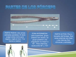 PARTE PASIVA: dos ramas
estriadas paralelas. El dedo
pulgar actúa como guía
regula y vigila el mov. Y la
fuerza a realizar
ZONA INTERMEDIA:
para superiores, grupo
anterior son rectos y al
grupo posterior una
angulación no mayor a
45° . Para inferiores
oscila entre 90° y 110°
PARTE ACTIVA: Pico o
bocados del forceps. Sus
caras externas son lisas
y las internas Son
cóncavas y estriadas.
 