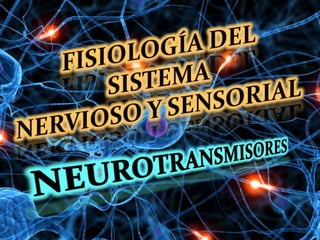 FISIOLOGÍA - NEUROTRANSMISORES