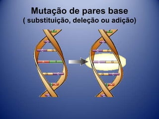 Mutação de pares base
( substituição, deleção ou adição)
 