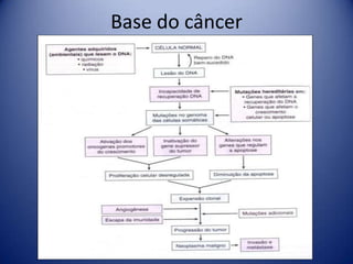 Base do câncer
 