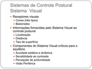 Sistemas de Controle Postural
Sistema Visual
 Receptores visuais
   Cones (três tipos)
   Bastonetes
 Informações fornecidas pelo Sistema Visual ao
 controle postural
   Localização
   Distância
   Tipo de superfície
 Componentes do Sistema Visual críticos para o
 equilibrio
     Acuidade estática e dinâmica
     Sensibilidade ao contraste
     Percepção de profundidade
     Visão Periférica
 