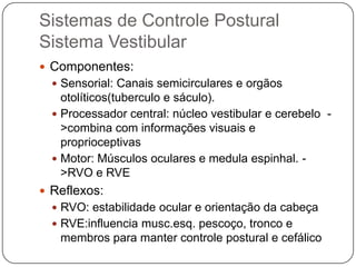Sistemas de Controle Postural
Sistema Vestibular
 Componentes:
   Sensorial: Canais semicirculares e orgãos
    otolíticos(tuberculo e sáculo).
   Processador central: núcleo vestibular e cerebelo -
    >combina com informações visuais e
    proprioceptivas
   Motor: Músculos oculares e medula espinhal. -
    >RVO e RVE
 Reflexos:
   RVO: estabilidade ocular e orientação da cabeça
   RVE:influencia musc.esq. pescoço, tronco e
   membros para manter controle postural e cefálico
 