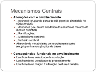 Mecanismos Centrais
 Alterações com o envelhecimento
   ↓ neuronal (ex.grande perda de cél. gigantes piramidais no
      córtex motor);
     ↓ dendrítica ( ex. arvore dendrítica dos neurônios motores da
      medula espinhal)
     ↓ Ramificações;
     ↓ Metabolismo cerebral;
     ↓Perfusão cerebral;
     Alteração de metabolismo de neurotransmissores
      (ex.↓dopamina nos gânglios da base);

 Consequências funcionais no envelhecimento
   Lentificação na velocidade de condução
   Lentificação na velocidade de processamento
   Lentificação na reação à alteração postural->quedas
 