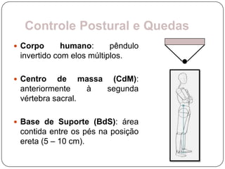 Controle Postural e Quedas
 Corpo      humano:      pêndulo
 invertido com elos múltiplos.

 Centro   de massa (CdM):
 anteriormente    à segunda
 vértebra sacral.

 Base de Suporte (BdS): área
 contida entre os pés na posição
 ereta (5 – 10 cm).
 