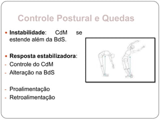 Controle Postural e Quedas
 Instabilidade: CdM     se
 estende além da BdS.

 Resposta estabilizadora:
- Controle do CdM
- Alteração na BdS


- Proalimentação
- Retroalimentação
 