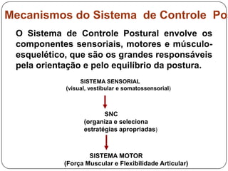 Mecanismos do Sistema de Controle Pos
 O Sistema de Controle Postural envolve os
 componentes sensoriais, motores e músculo-
 esquelético, que são os grandes responsáveis
 pela orientação e pelo equilíbrio da postura.
                 SISTEMA SENSORIAL
            (visual, vestibular e somatossensorial)



                         SNC
                  (organiza e seleciona
                  estratégias apropriadas)



                    SISTEMA MOTOR
            (Força Muscular e Flexibilidade Articular)
 