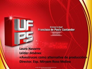 Laura Navarro
Leider Jiménez
«Avestruces como alternativa de producción»
Director. Esp. Miryam Roso Molina
 