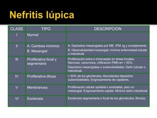 CLASE TIPO DESCRIPCION
I Normal
II A. Cambios mínimos
B. Mesangial
A. Depósitos mesangiales por ME. IFM: Ig y complemento
B. Hipercelularidad mesangial, mínima enfermedad tubular
o intersticial
III Proliferativa focal y
segmentaria
Proliferación extra e intracapilar en áreas focales.
Necrosis, cariorrexis, infiltración PMN en < 50%.
Depósitos mesangiales o subendoteliales. Daño tubular o
intersticial.
IV Proliferativa difusa > 50% de los glomérulos. Abundantes depósitos
subendoteliales. Engrosamiento de capilares.
V Membranosa Proliferación celular epitelial o endotelial, pero no
mesangial. Engrosamiento capilar. Mínimo daño intersticial
VI Esclerosis Esclerosis segmentaria o focal de los glomérulos, fibrosis.
 
