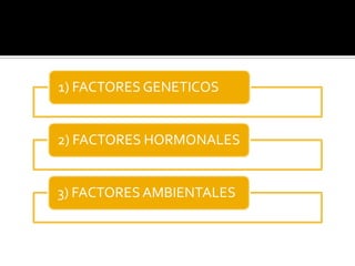 1) FACTORES GENETICOS
2) FACTORES HORMONALES
3) FACTORES AMBIENTALES
ETIOLOGIA
 