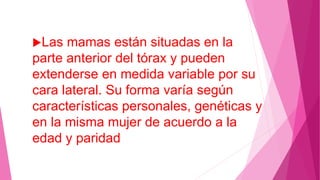 Las mamas están situadas en la
parte anterior del tórax y pueden
extenderse en medida variable por su
cara lateral. Su forma varía según
características personales, genéticas y
en la misma mujer de acuerdo a la
edad y paridad
 