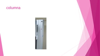 columna
 