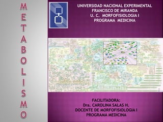UNIVERSIDAD NACIONAL EXPERIMENTAL
FRANCISCO DE MIRANDA
U. C. MORFOFISIOLOGIA I
PROGRAMA MEDICINA
FACILITADORA:
Dra. CAROLINA SALAS H.
DOCENTE DE MORFOFISIOLOGIA I
PROGRAMA MEDICINA
 