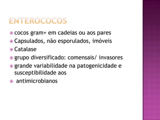  cocos gram+ em cadeias ou aos pares
 Capsulados, não esporulados, imóveis
 Catalase
 grupo diversificado: comensais/ invasores
 grande variabilidade na patogenicidade e
  susceptibilidade aos
 antimicrobianos
 