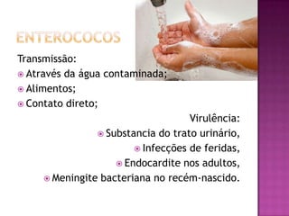 Transmissão:
 Através da água contaminada;
 Alimentos;
 Contato direto;
                                    Virulência:
                 Substancia do trato urinário,
                         Infecções de feridas,
                     Endocardite nos adultos,
      Meningite bacteriana no recém-nascido.
 