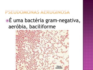 Éuma bactéria gram-negativa,
aeróbia, baciliforme
 