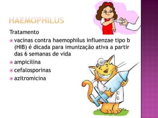 Tratamento
 vacinas contra haemophilus influenzae tipo b
  (HIB) é dicada para imunização ativa a partir
  das 6 semanas de vida
 ampicilina
 cefalosporinas
 azitromicina
 