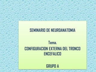 SEMINARIO DE NEUROANATOMIA

Tema.
CONFIGURACION EXTERNA DEL TRONCO
ENCEFALICO
GRUPO A

 