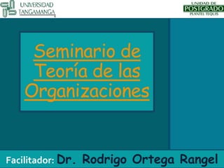 Seminario de
Teoría de las
Organizaciones
Facilitador: Dr. Rodrigo Ortega Rangel
 