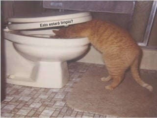 Esto estará limpio? 