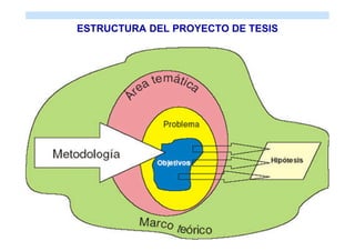 ESTRUCTURA DEL PROYECTO DE TESIS
 