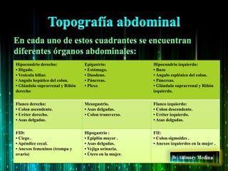Hipocondrio derecho:
• Hígado.
• Vesícula biliar.
• Angulo hepático del colon.
• Glándula suprarrenal y Riñón
derecho
Epigastrio:
• Estómago.
• Duodeno.
• Páncreas.
• Plexo
Hipocondrio izquierdo:
• Bazo
• Angulo esplénico del colon.
• Páncreas.
• Glándula suprarrenal y Riñón
izquierdo.
Flanco derecho:
• Colon ascendente.
• Uréter derecho.
• Asas delgadas.
Mesogastrio.
• Asas delgadas.
• Colon transverso.
Flanco izquierdo:
• Colon descendente.
• Uréter izquierdo.
• Asas delgadas.
FID:
• Ciego .
• Apéndice cecal.
• Anexos femeninos (trompa y
ovario)
Hipogastrio :
• Epiplón mayor .
• Asas delgadas.
• Vejiga urinaria.
• Útero en la mujer.
FII:
• Colon sigmoides .
• Anexos izquierdos en la mujer .
 
