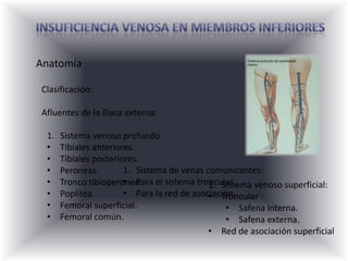  William Harvey (1578 – 1657) describe las bases fisiológicas de la circulación.