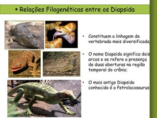 Fig 24. http://ufogenesis.com.br

Fig 25.
http://repteis.mundoentrepatas.com

 Relações Filogenéticas entre os Diapsida

• Constituem a linhagem de
vertebrada mais diversificada;
• O nome Diapsida significa dois
arcos e se refere a presença
de duas aberturas na região
temporal do crânio;

fig 26. squamata. Googleimagens.com

fig 27. tuatuara. Googleimagens.com

• O mais antigo Diapsida
conhecido é o Petrolacosaurus.

Fig 28. petrolacosaurus. Googleimagens.com

 