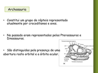 Archosauria
• Constitui um grupo de répteis representado
atualmente por crocodilianos e aves.

• No passado eram representados pelos Pterossauros e
Dinossauros.

• São distinguidos pela presença de uma
abertura rosto orbital e a órbita ocular.

 