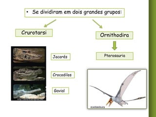 • Se dividiram em dois grandes grupos:

Crurotarsi

Ornithodira

Jacarés

Pterosauria

Crocodilos

Gavial
http://zooterra.wordpress.com/

en.wikipedia.org

 