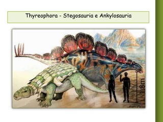 Thyreophora - Stegosauria e Ankylosauria

alligater.org

 