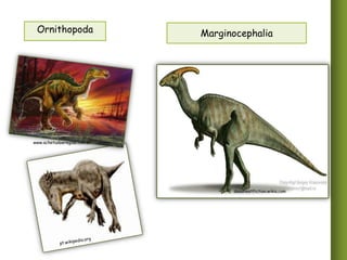 Ornithopoda

Marginocephalia

www.achetudoeregiao.com.br

deadliestfiction.wikia.com

 
