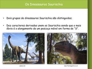 Os Dinossauros Saurischia

• Dois grupos de dinossauros Saurischia são distinguidos;
• Dez caracteres derivados unem os Saurischia sendo que o mais
óbvio é o alongamento de um pescoço móvel em forma de “S”.

paleos.com

www.freeimageslive.co.uk

 